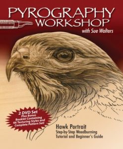 Pyrography Workshop with Sue Walters DVD (excerpt)