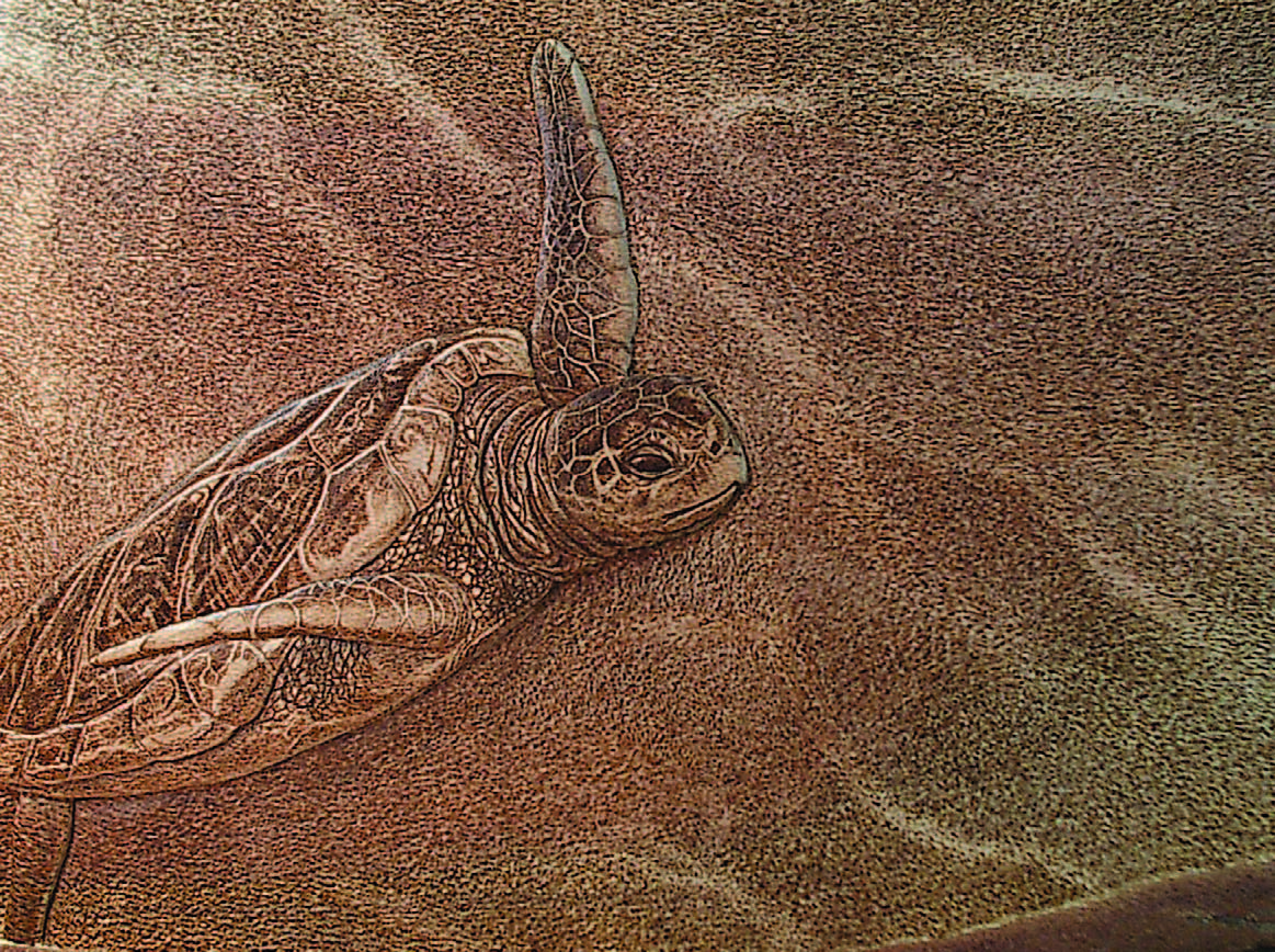 Turtle Rising monochrome pyrography on relief carved silky oak.