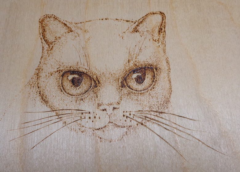 Woodburning Animal Eyes